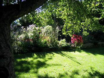 Fall 2008 Garden